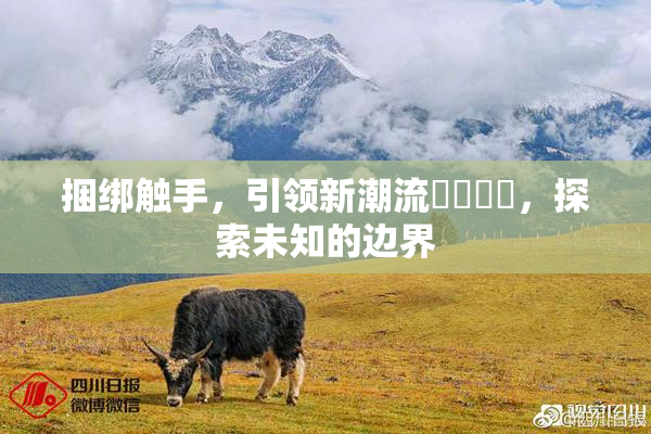 捆绑触手，引领新潮流❌‌❌‌，探索未知的边界