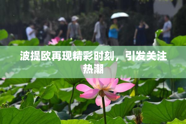 波提欧再现精彩时刻，引发关注热潮
