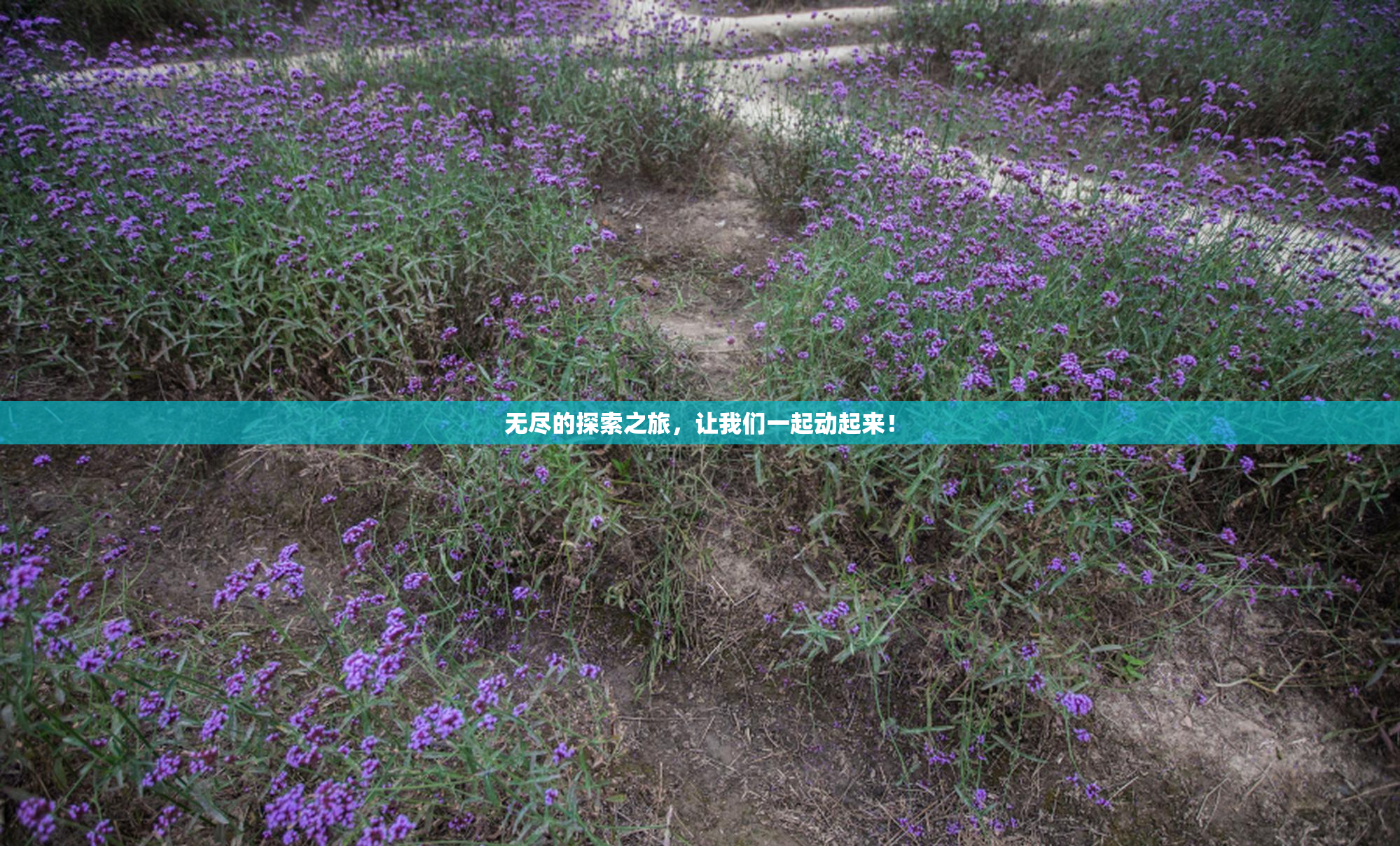 无尽的探索之旅，让我们一起动起来！