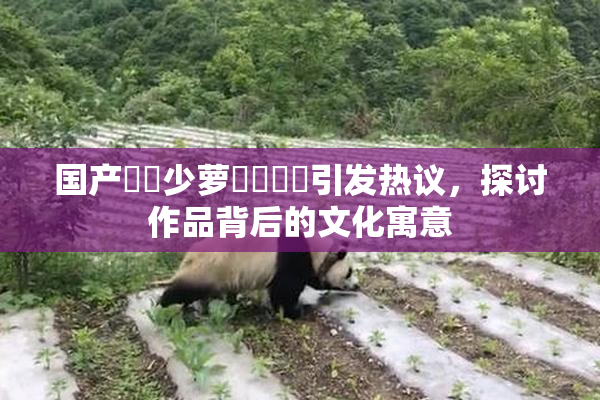 国产❌‌少萝❌‌❌‌引发热议，探讨作品背后的文化寓意