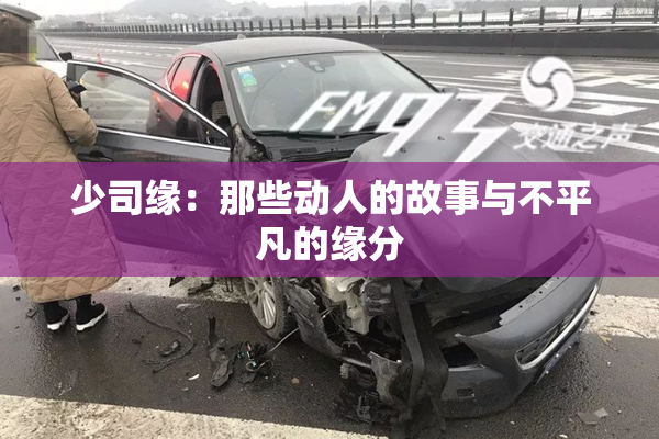 少司缘：那些动人的故事与不平凡的缘分