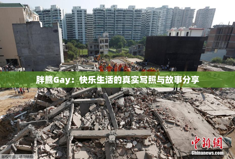 胖熊Gay：快乐生活的真实写照与故事分享