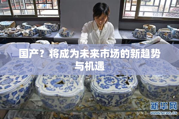国产？将成为未来市场的新趋势与机遇