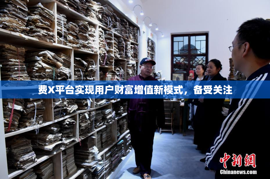 费X平台实现用户财富增值新模式，备受关注