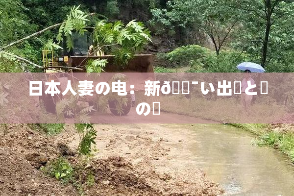 日本人妻の电：新🔯い出発と愛の絆