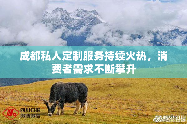 成都私人定制服务持续火热，消费者需求不断攀升