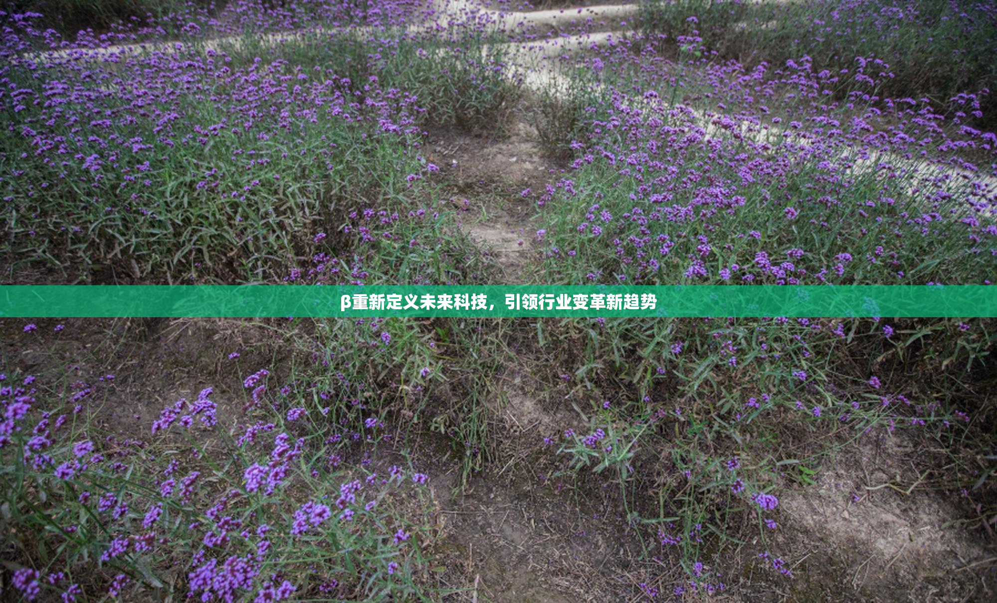 β重新定义未来科技，引领行业变革新趋势