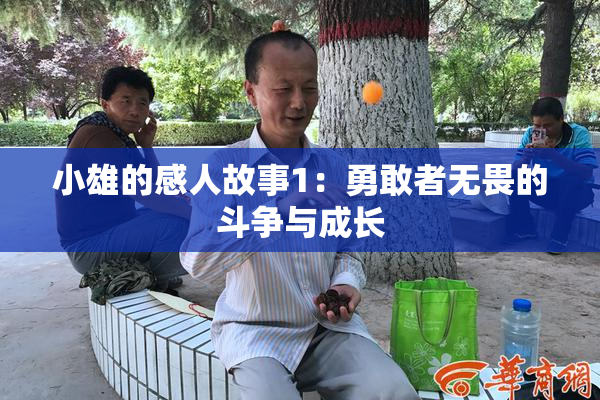 小雄的感人故事1：勇敢者无畏的斗争与成长