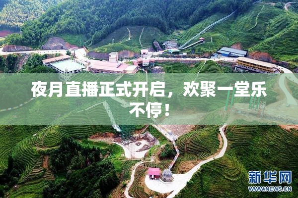 夜月直播正式开启，欢聚一堂乐不停！