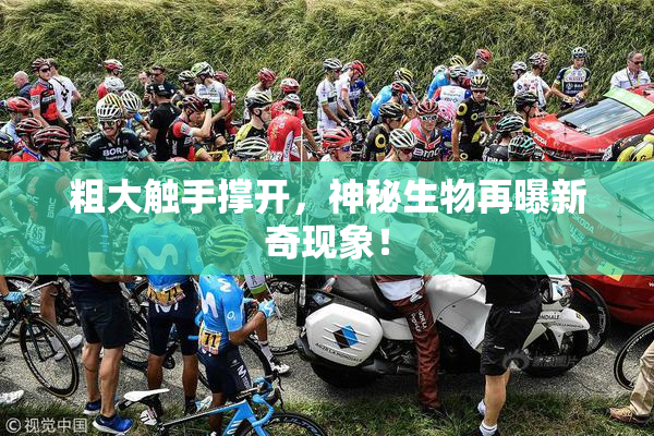 粗大触手撑开，神秘生物再曝新奇现象！