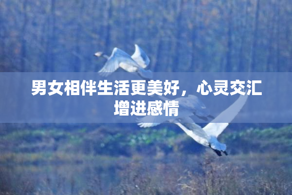 男女相伴生活更美好，心灵交汇增进感情