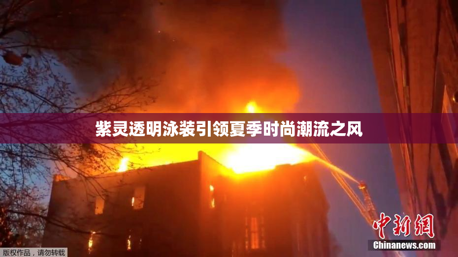 紫灵透明泳装引领夏季时尚潮流之风