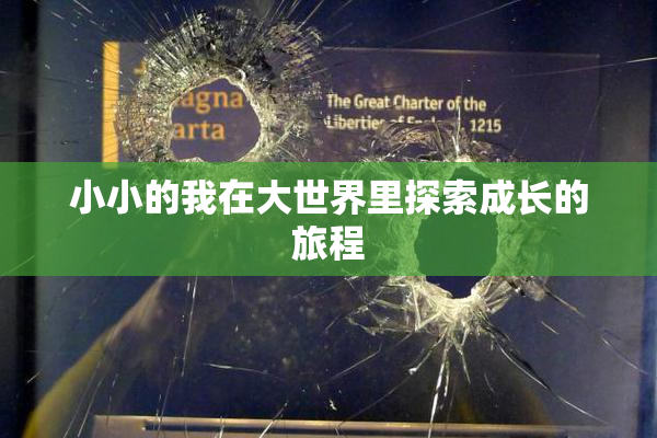 小小的我在大世界里探索成长的旅程