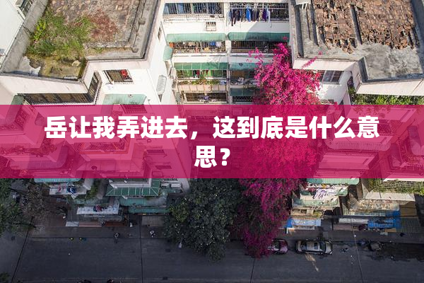 岳让我弄进去，这到底是什么意思？