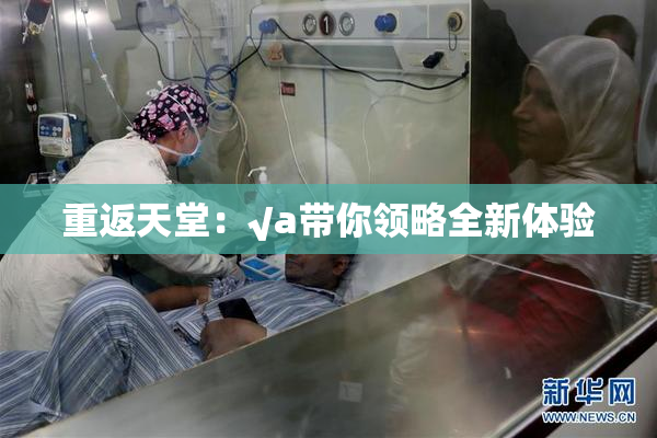 重返天堂：√a带你领略全新体验