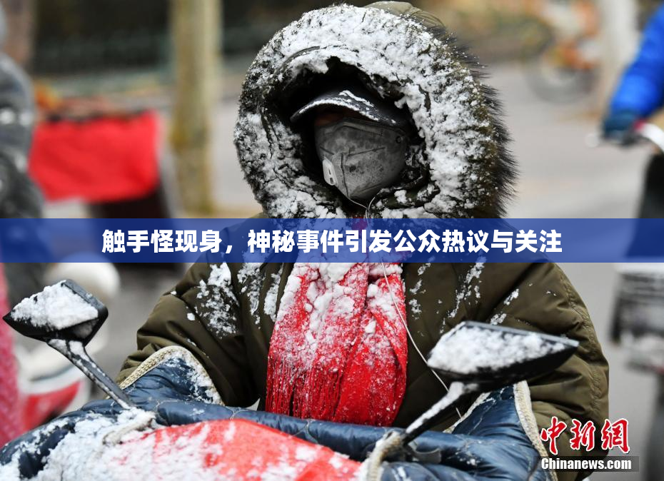触手怪现身，神秘事件引发公众热议与关注