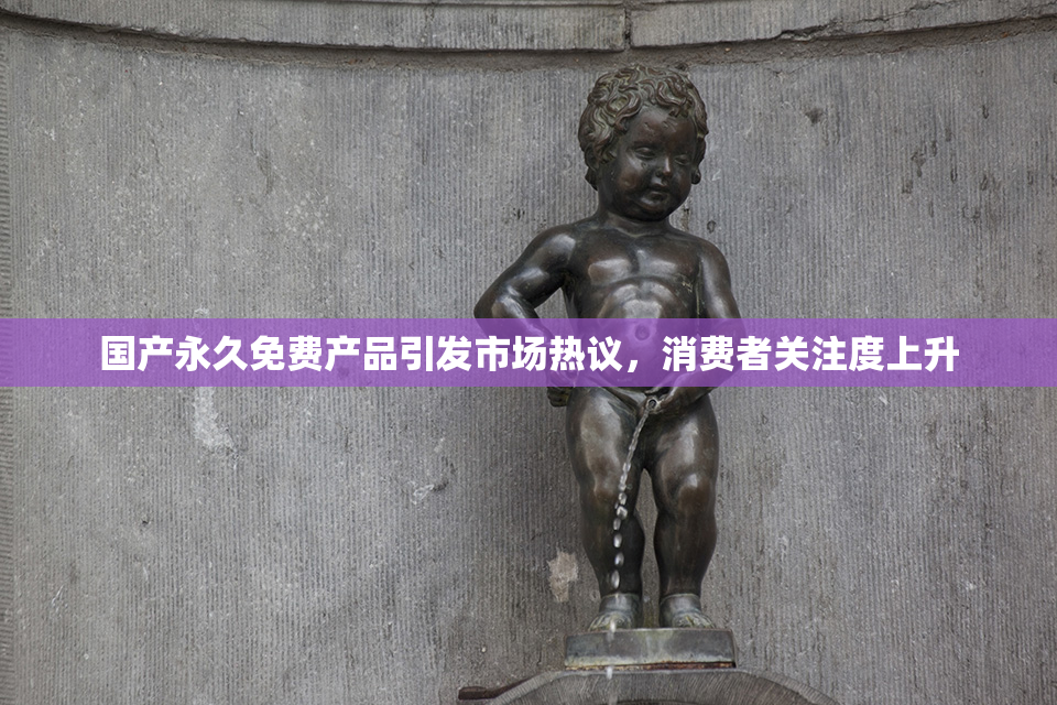 国产永久免费产品引发市场热议，消费者关注度上升