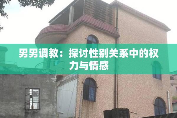 男男调教：探讨性别关系中的权力与情感