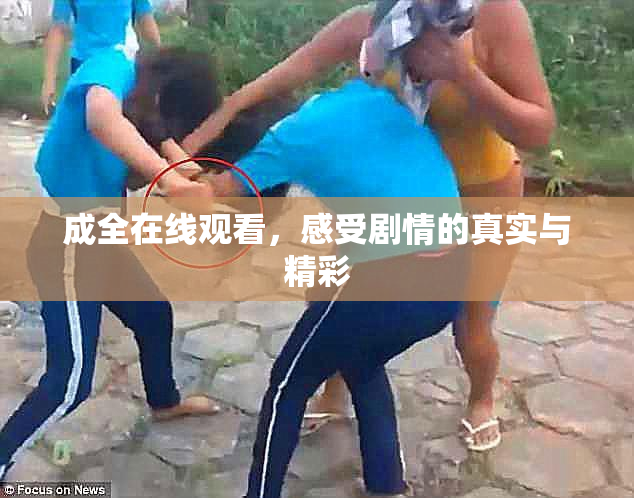 成全在线观看，感受剧情的真实与精彩