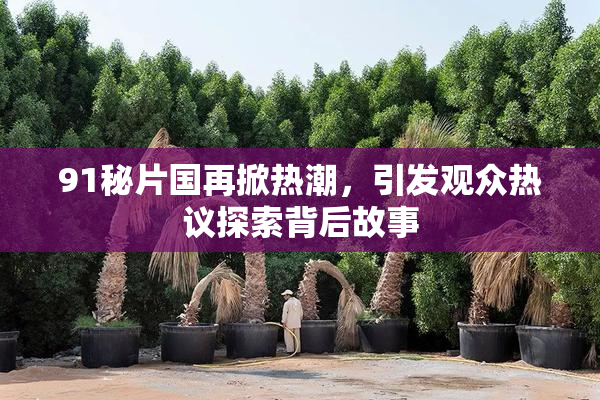 91秘片国再掀热潮，引发观众热议探索背后故事