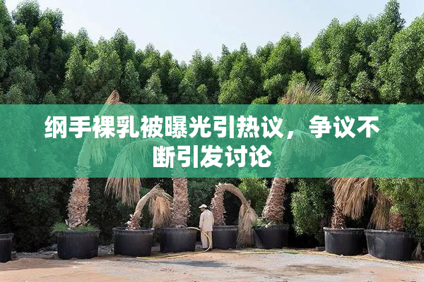 纲手裸乳被曝光引热议，争议不断引发讨论
