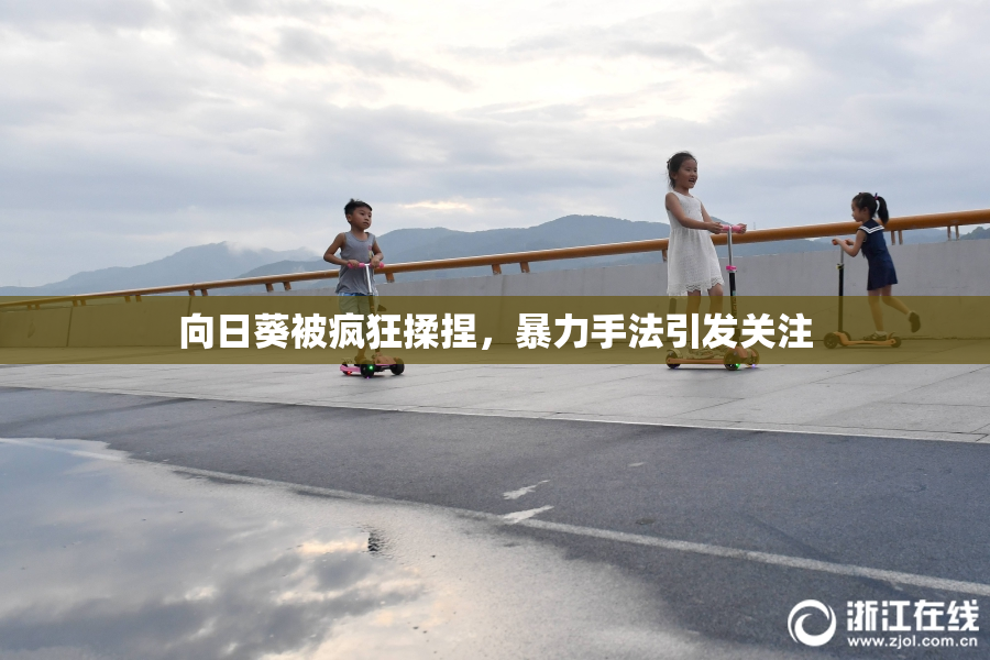 向日葵被疯狂揉捏，暴力手法引发关注