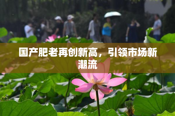 国产肥老再创新高，引领市场新潮流