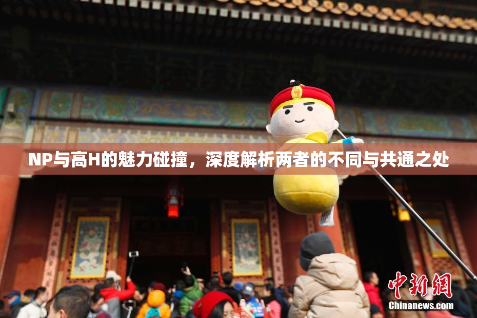 NP与高H的魅力碰撞，深度解析两者的不同与共通之处