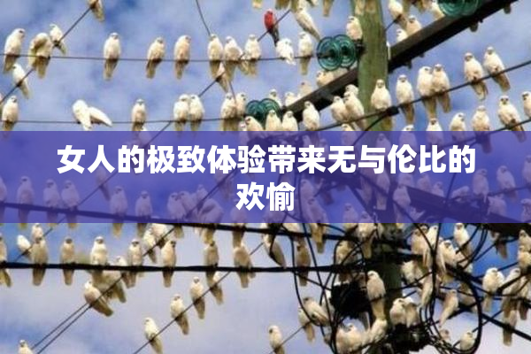 女人的极致体验带来无与伦比的欢愉