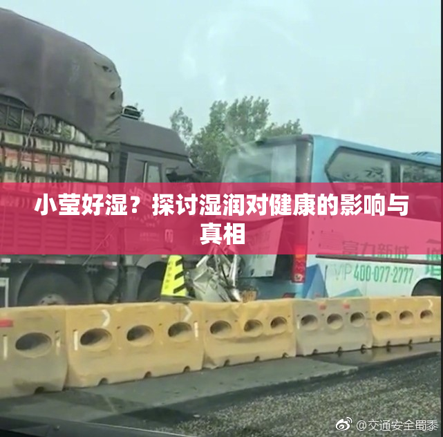 小莹好湿？探讨湿润对健康的影响与真相