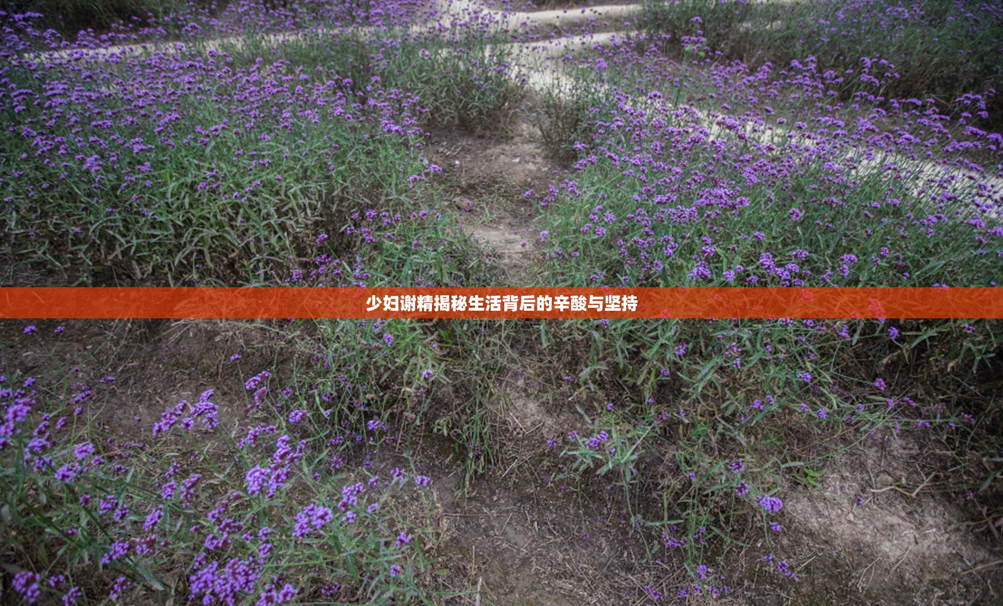 少妇谢精揭秘生活背后的辛酸与坚持