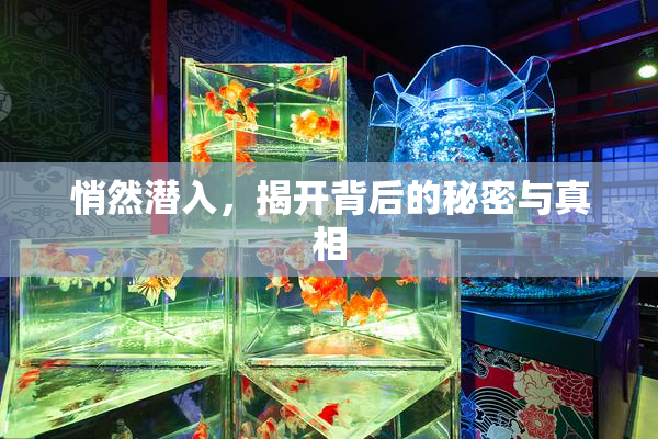 悄然潜入，揭开背后的秘密与真相