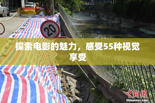 探索电影的魅力，感受55种视觉享受