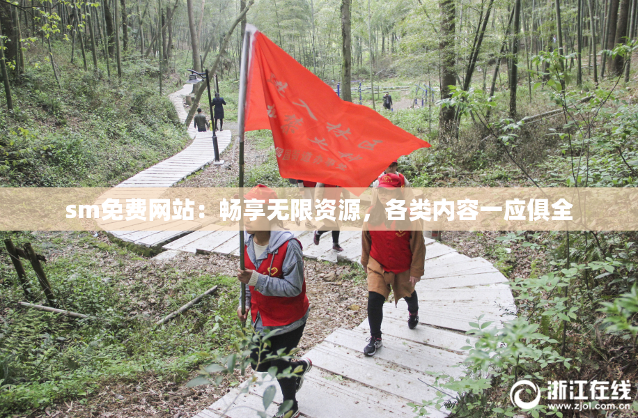 sm免费网站：畅享无限资源，各类内容一应俱全