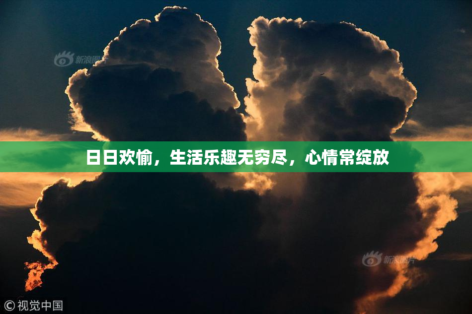 日日欢愉，生活乐趣无穷尽，心情常绽放