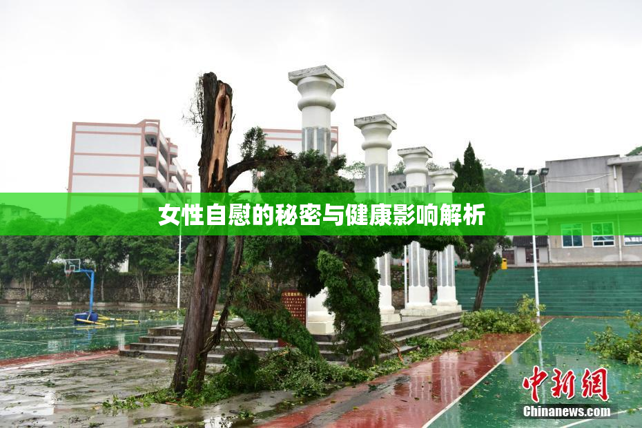女性自慰的秘密与健康影响解析
