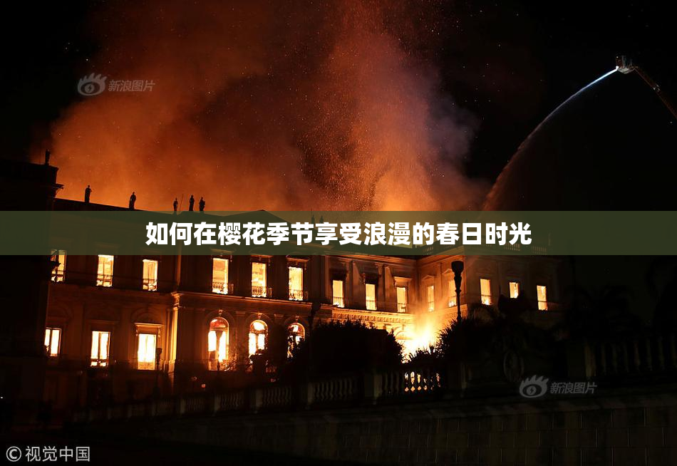 如何在樱花季节享受浪漫的春日时光