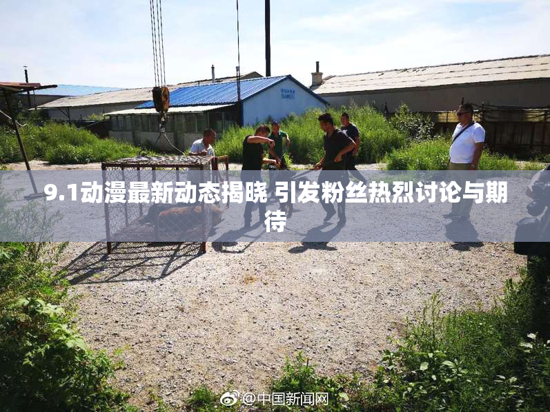 9.1动漫最新动态揭晓 引发粉丝热烈讨论与期待