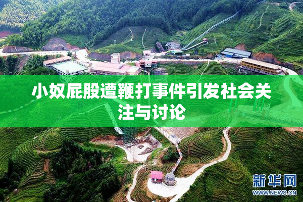 小奴屁股遭鞭打事件引发社会关注与讨论