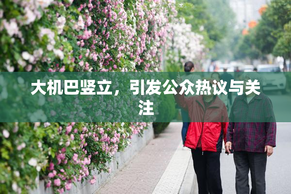 大机巴竖立，引发公众热议与关注