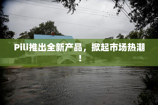 Pili推出全新产品，掀起市场热潮！