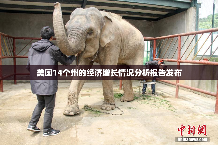 美国14个州的经济增长情况分析报告发布
