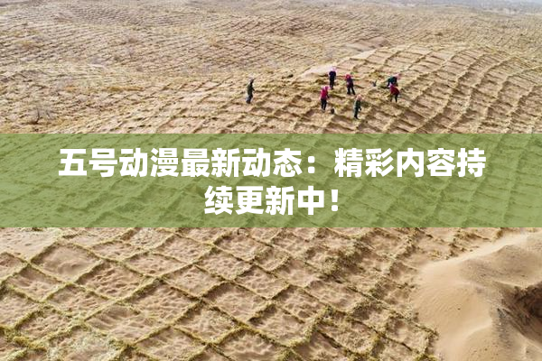 五号动漫最新动态：精彩内容持续更新中！