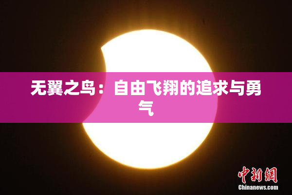 无翼之鸟：自由飞翔的追求与勇气