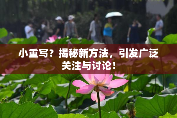 小重写？揭秘新方法，引发广泛关注与讨论！