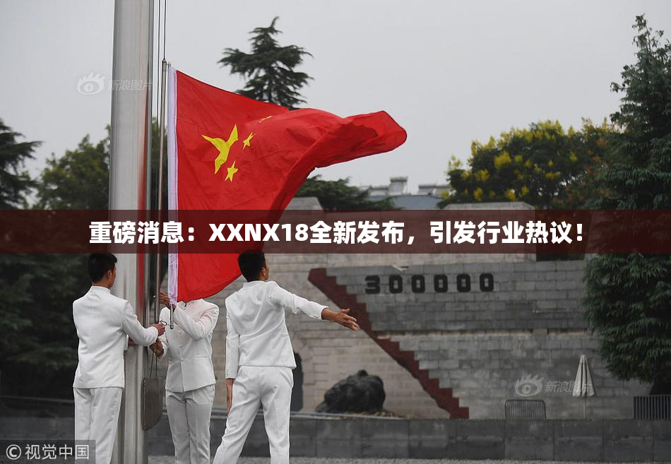 重磅消息：XXNX18全新发布，引发行业热议！