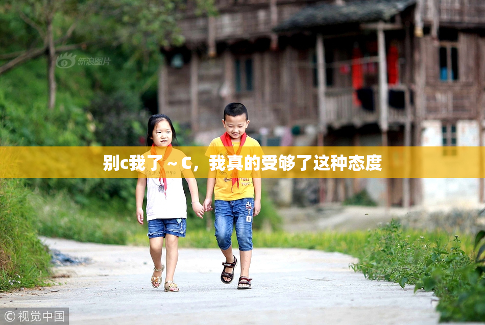 别c我了～C，我真的受够了这种态度