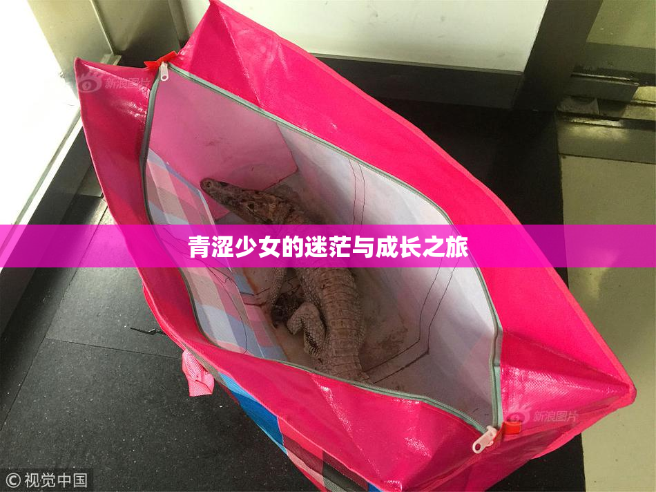 青涩少女的迷茫与成长之旅