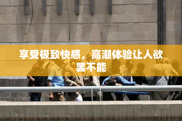 享受极致快感，高潮体验让人欲罢不能