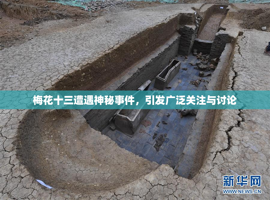 梅花十三遭遇神秘事件，引发广泛关注与讨论